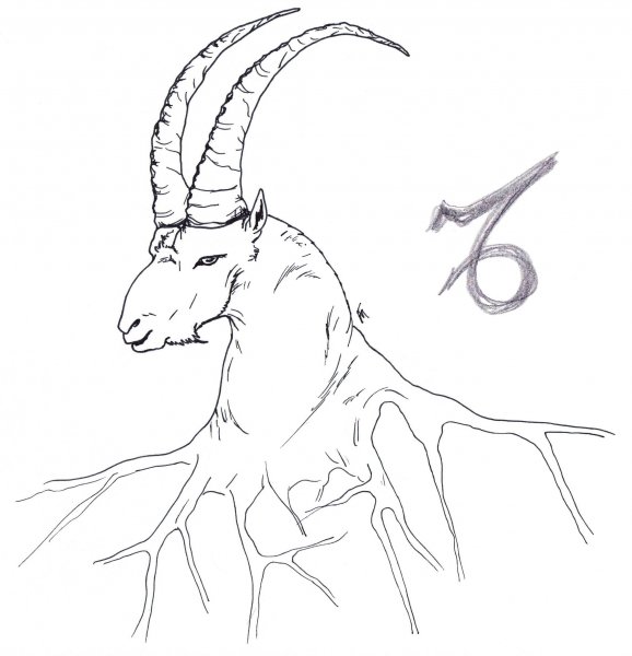 zodiac-10-capricorn.jpg